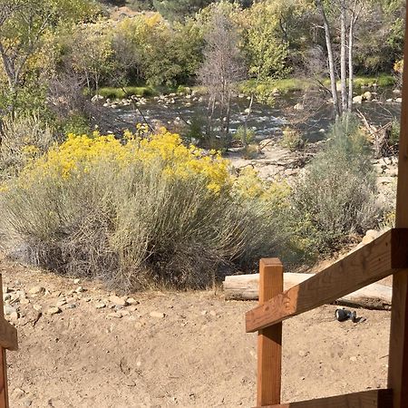 Socal Camping Kernville Eksteriør billede