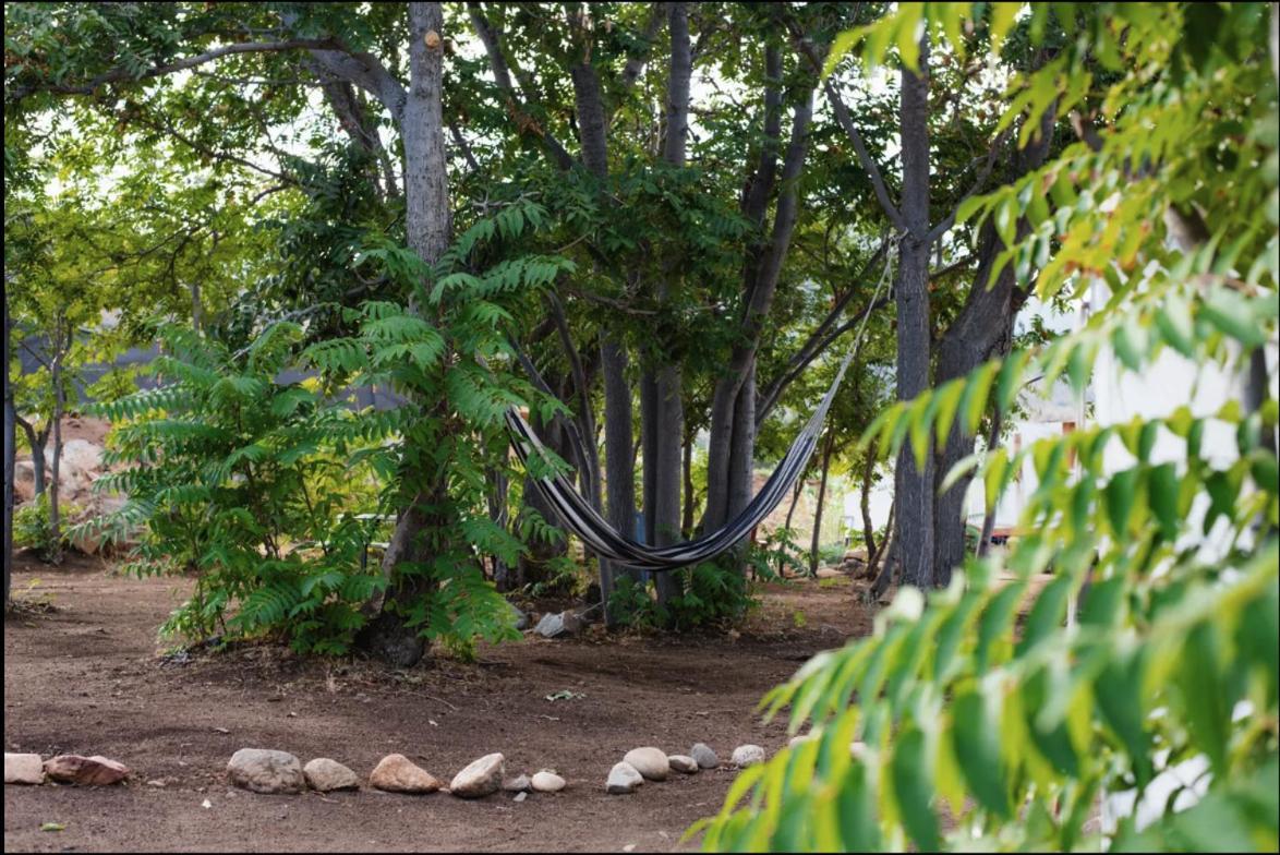 Socal Camping Kernville Eksteriør billede