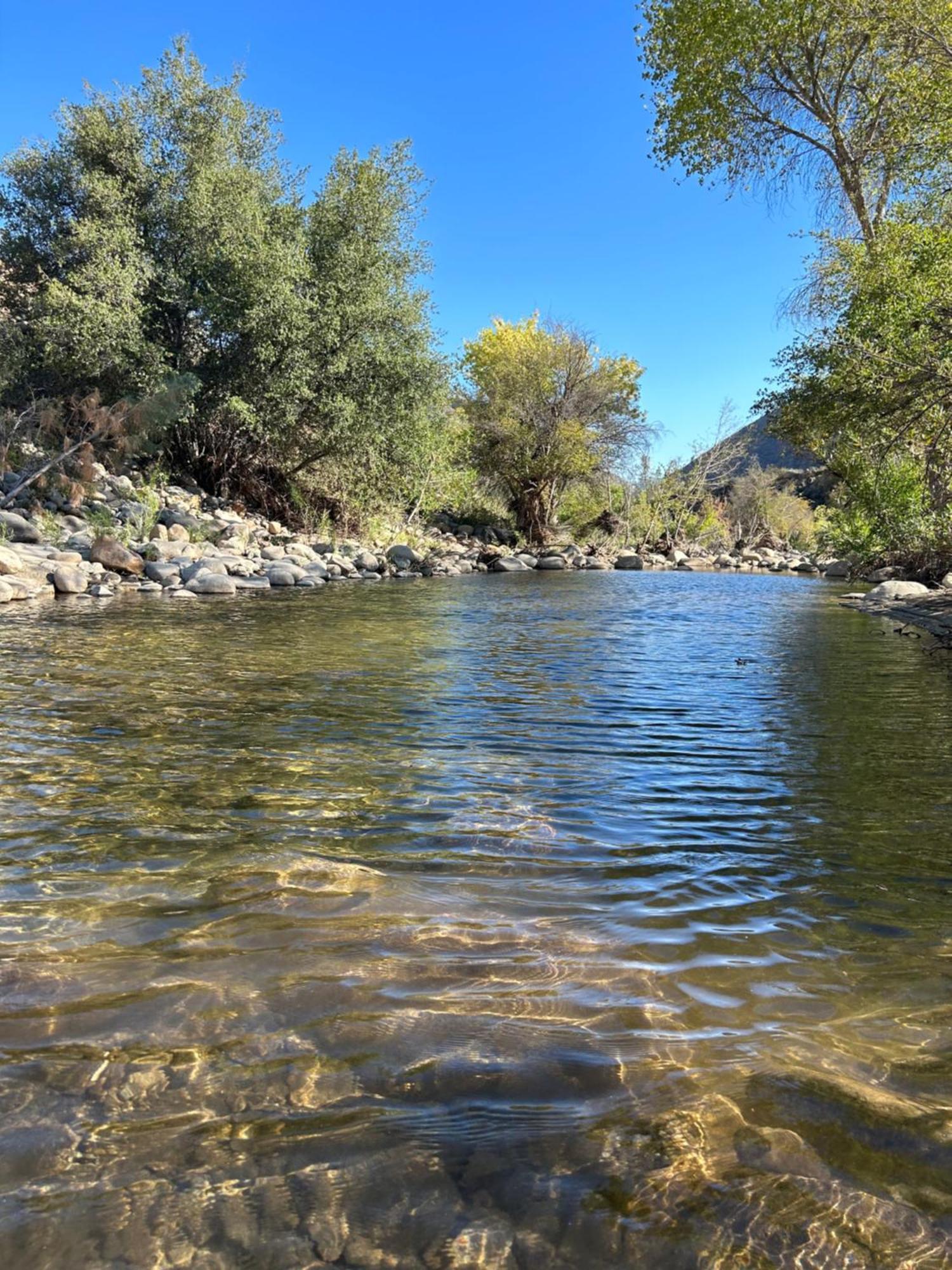 Socal Camping Kernville Eksteriør billede